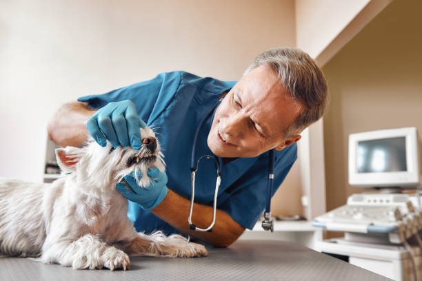 Best Emergency Treatment for Dental Infections or Abscesses in Nevada, IA